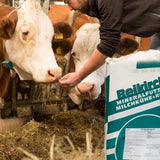 Beikircher Mineralfutter für Milchkuhe + Rinder ESTRUS PELLET - Futter 25KG