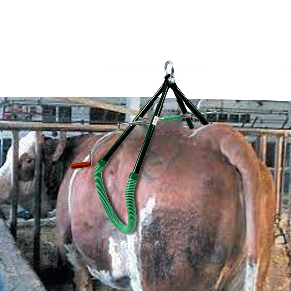 Telaio di sollevamento per la vacca 900 kg