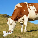 Sale Minerali Ruminanti