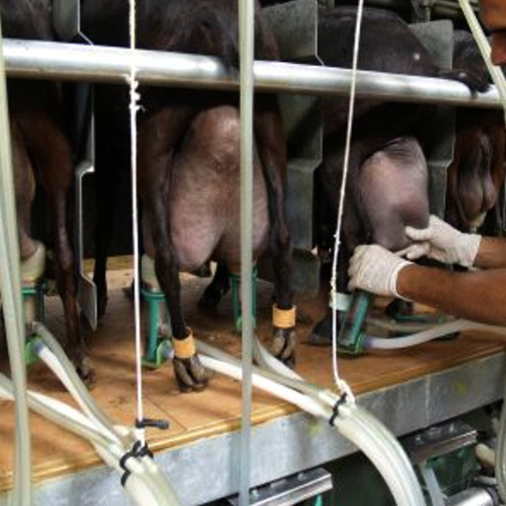 Goat Milking Part Raiser Teat Milk Collector for Sheep Milker