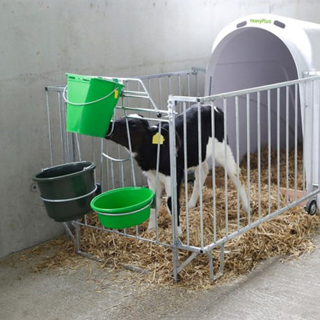 Recinto per ricovero vitelli