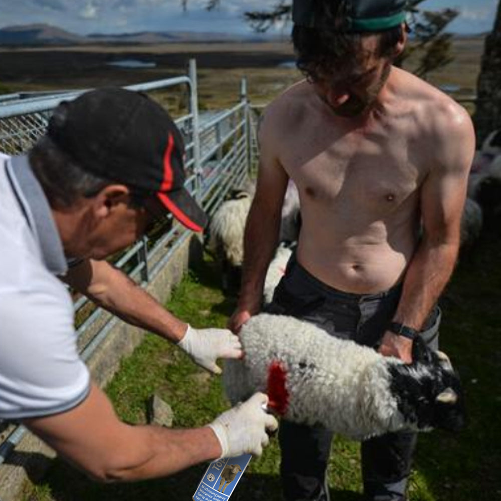 Spray Marcatore per Pecore Identificazione