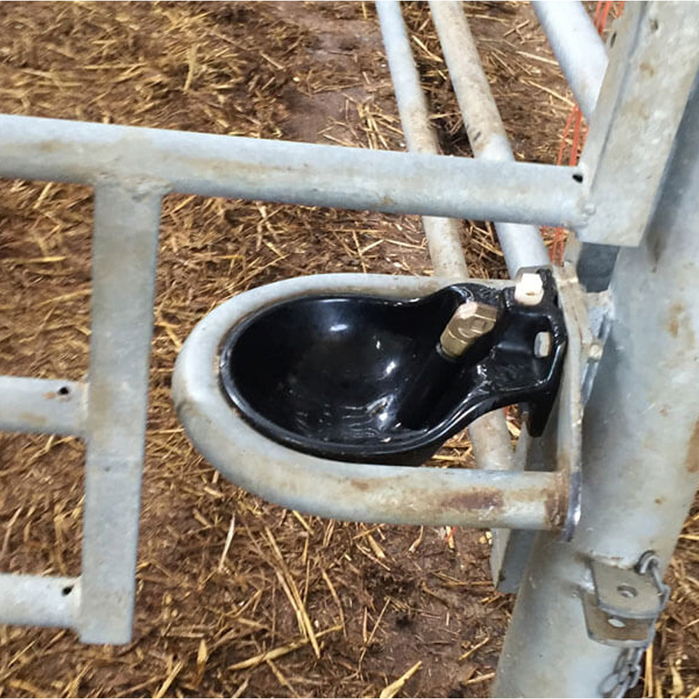 Abbeveratoio Suevia Mod. 61 Ideal per bovini, vitelli e cavalli fissaggio a fori alimentazione silenziosa dell'acqua, senza schizzi buon rapporto qualità/prezzo