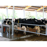 Divisori R2 (3/4), 3,00 - 4,00 m