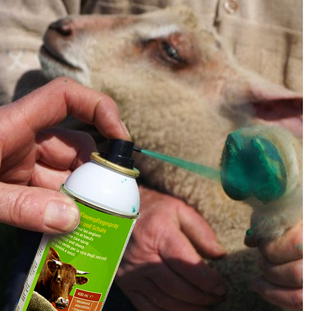 Grünes Klauenpflegespray für Rinder und Schafe