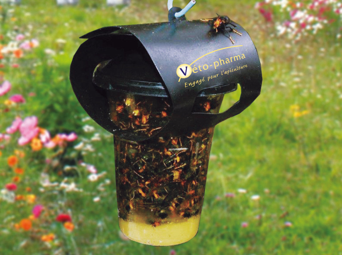 Trappola VespaCatch per Vespe Asiatiche