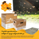 alimentazione per api