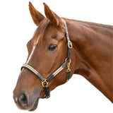 Waldhausen X-Line Oxford Leather Halter Soft Adjustable Design