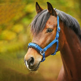 Longierhalfter Economic Nylon Gepolstert Für Pferd Training