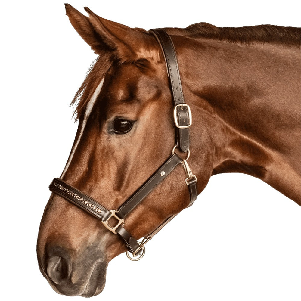Waldhausen X-Line Crystal Leather Halter Elegant Horse Tack