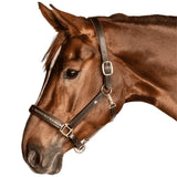 Waldhausen X-Line Crystal Leather Halter Elegant Horse Tack