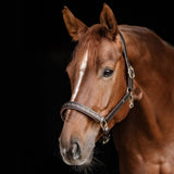 Waldhausen X-Line Crystal Leather Halter Elegant Horse Tack
