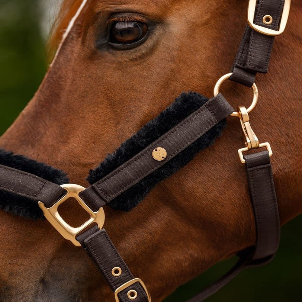 Waldhausen Phoenix Halter Set with Lead Rope