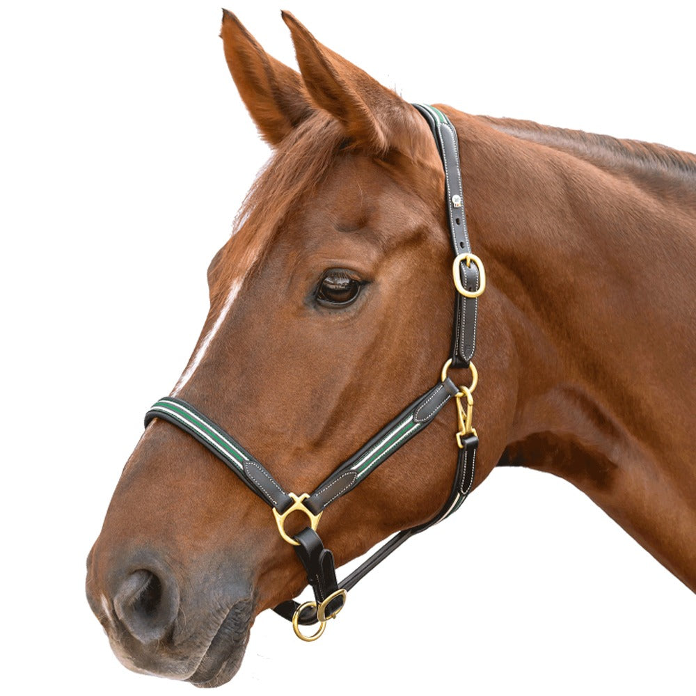 Waldhausen X-Line Oxford Leather Halter Soft Adjustable Design