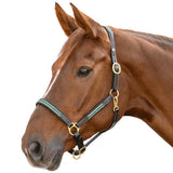 Waldhausen X-Line Oxford Leather Halter Soft Adjustable Design