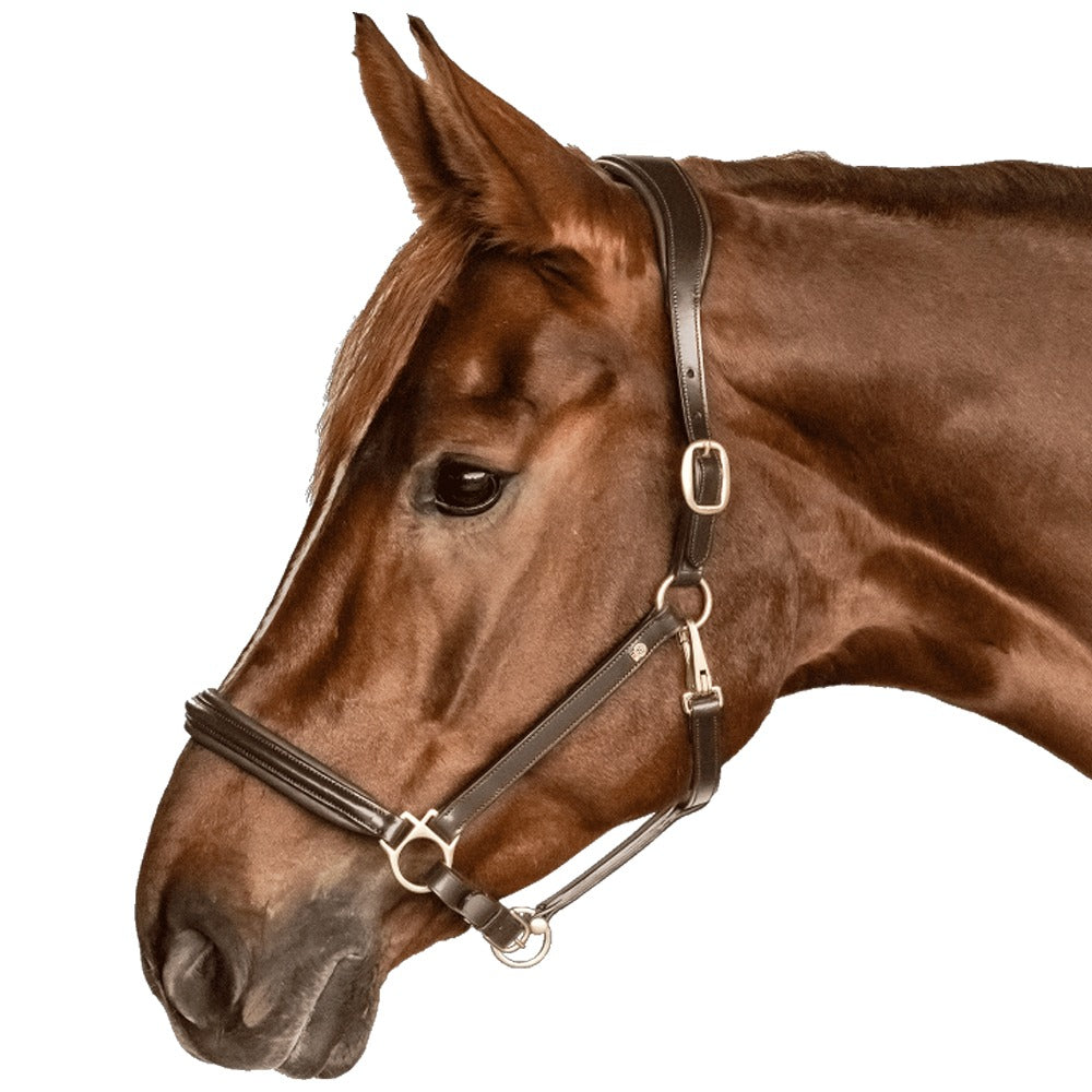 Capestro In Pelle S-Line Classy Elegante Con Imbottitura Morbida