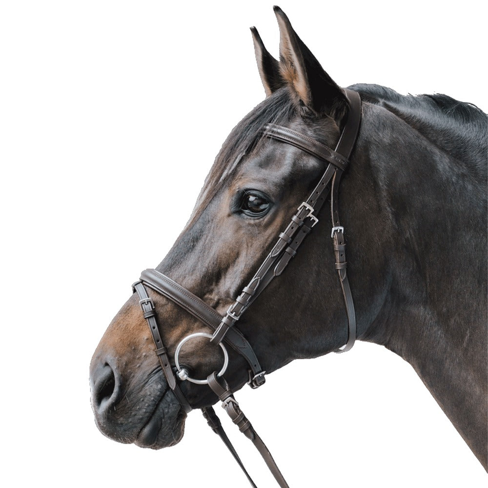 STAR Lifestyle Trensenzaum Leder Komfort Preiswert Reitsport