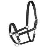 STAR Lederhalfter Diamond Robust Mit Mehrfach Verstellbar