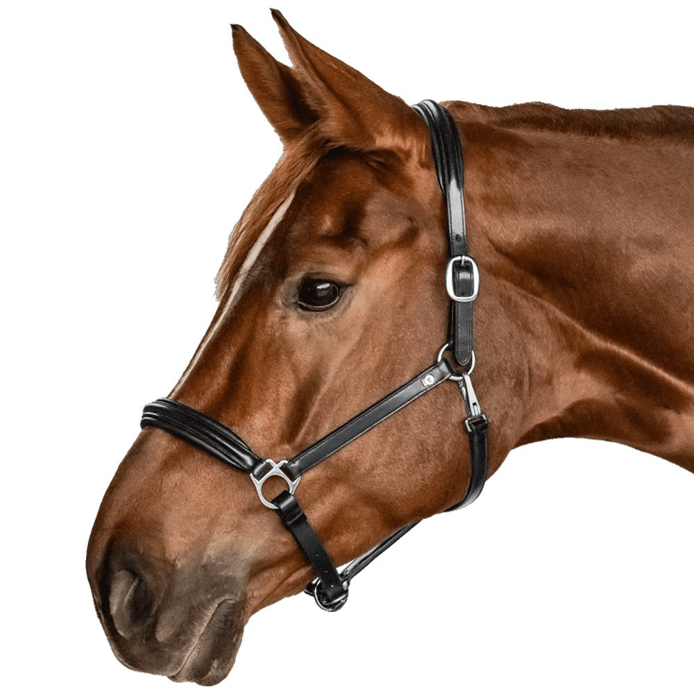 Capestro In Pelle S-Line Classy Elegante Con Imbottitura Morbida