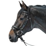 STAR Lifestyle Trensenzaum Leder Komfort Preiswert Reitsport
