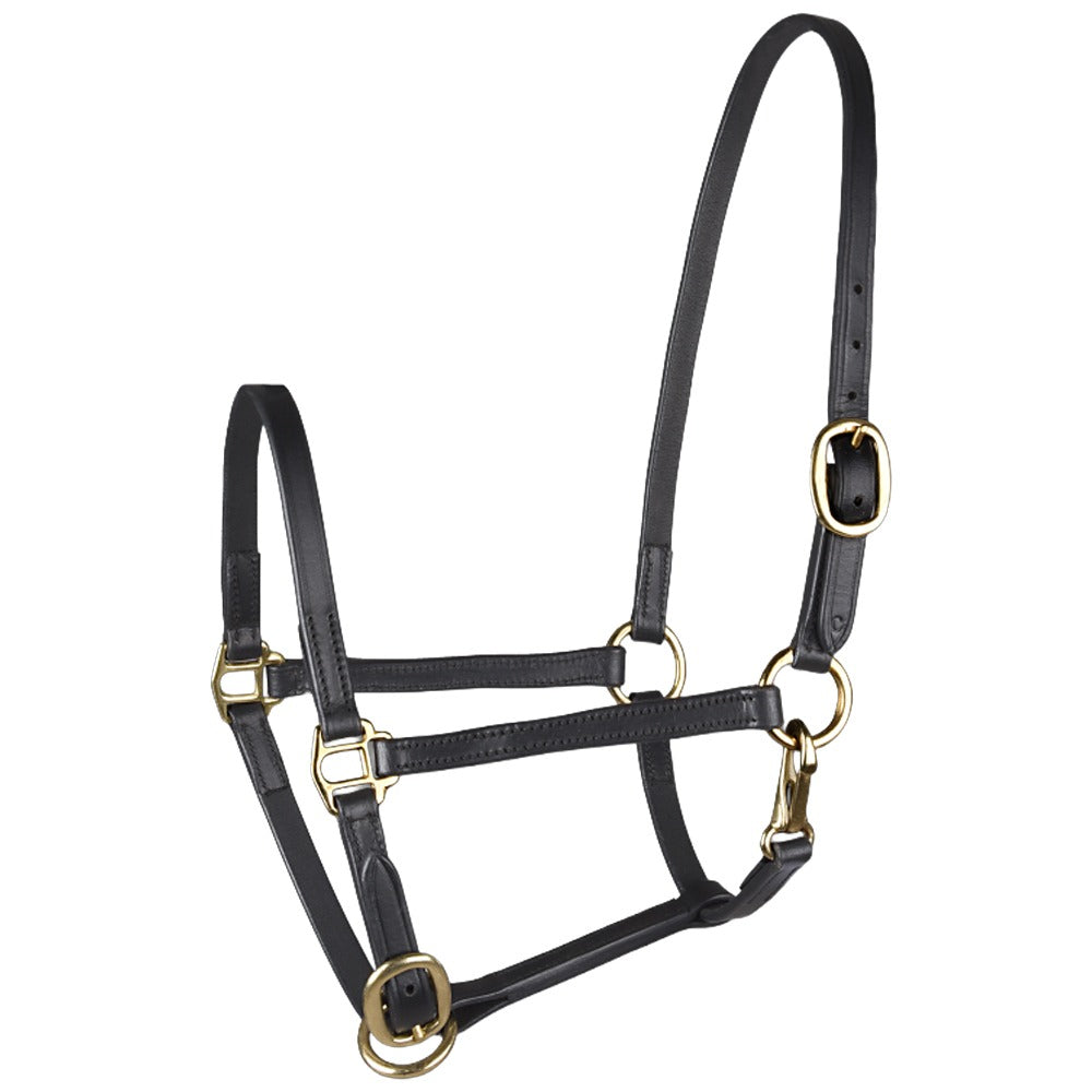 STAR Foal Leather Halter With Snap Hook For Showing Use