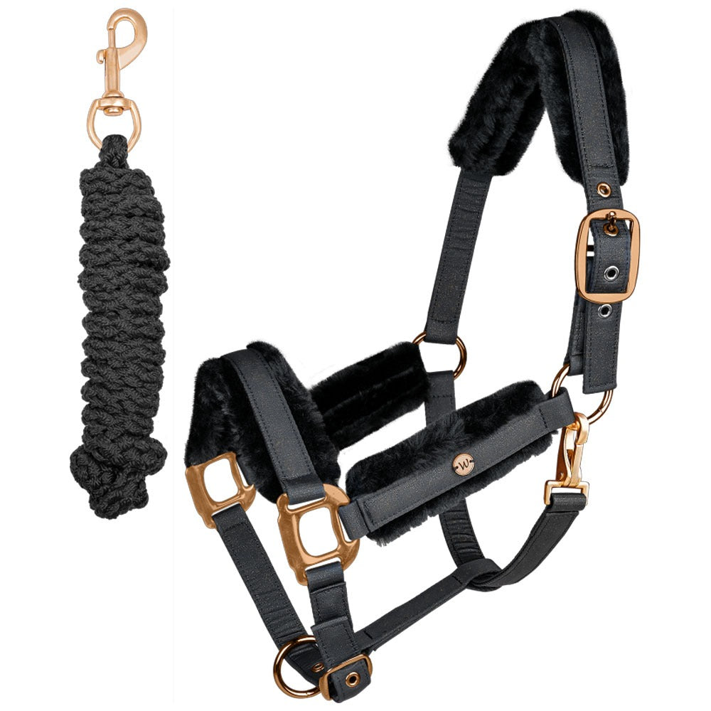 Waldhausen Phoenix Halter Set with Lead Rope