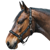 Cavezza Cavallo Pferdchen Con Imbottitura Morbida Regolabile