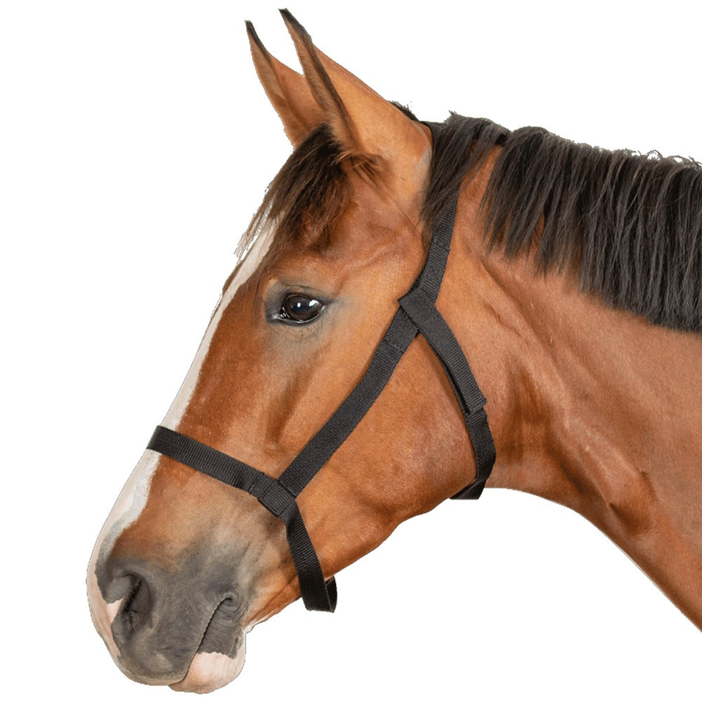 Safe Horse Grazing Halter Lightweight Breakaway Velcro Design