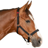 Clever Open Safety Horse Halter With Breakaway Velcro System