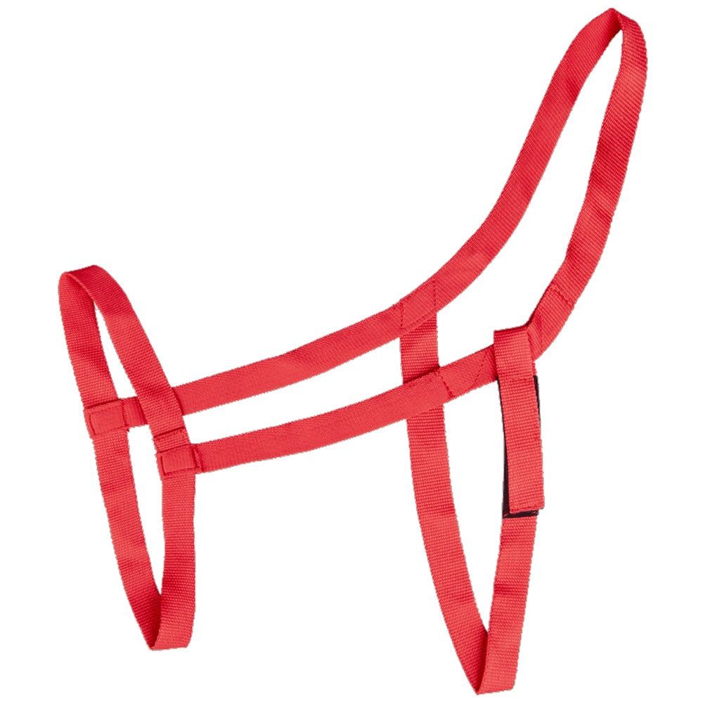 Safe Horse Grazing Halter Lightweight Breakaway Velcro Design