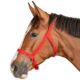 Safe Horse Grazing Halter Lightweight Breakaway Velcro Design