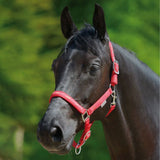 Cavezza Cavallo Pferdchen Con Imbottitura Morbida Regolabile