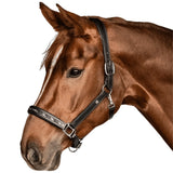 Waldhausen X-Line Crystal Leather Halter Elegant Horse Tack