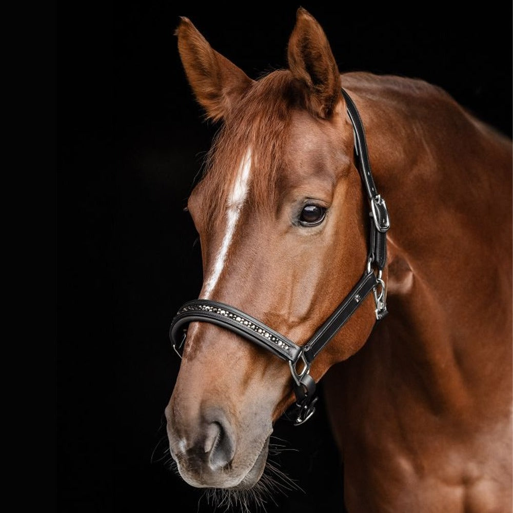 Waldhausen X-Line Crystal Leather Halter Elegant Horse Tack