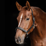 Waldhausen X-Line Crystal Leather Halter Elegant Horse Tack