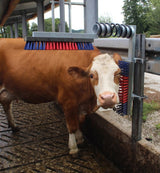 Spazzola di ricambio in plastica rossa-blu euro farm per bovini