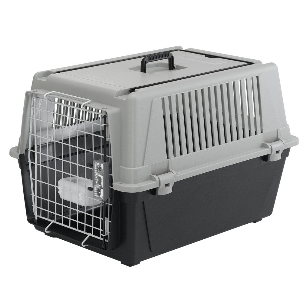 Transportbox für kleine bis mittelgroße Hunde