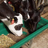 Mangimi Beikircher– Mangime per vacche da latte 18/29