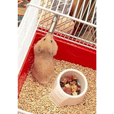 croci beverino per roditori