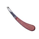 Coltello da Zoccolo Aesculap in Acciaio Inossidabile