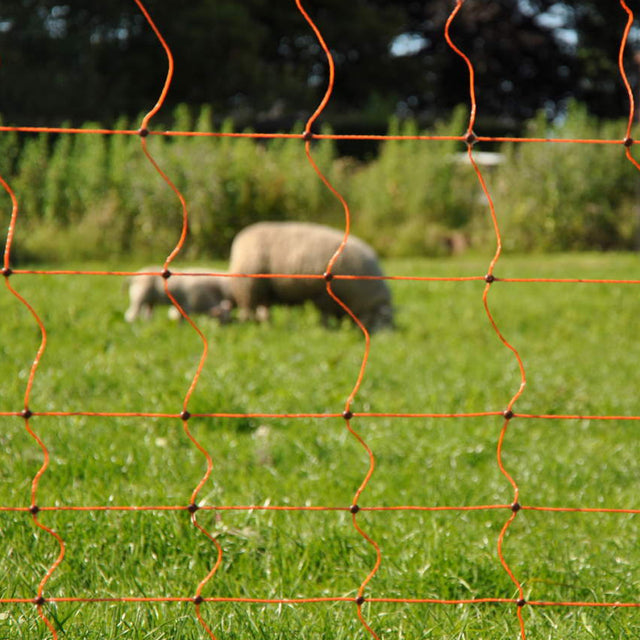 Rete Da Pascolo Elettrificata Antilupo 145 Cm X 50 m Sicurezza E Protezione Degli Animali