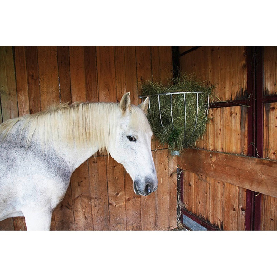 Rastrelliera Ad Angolo