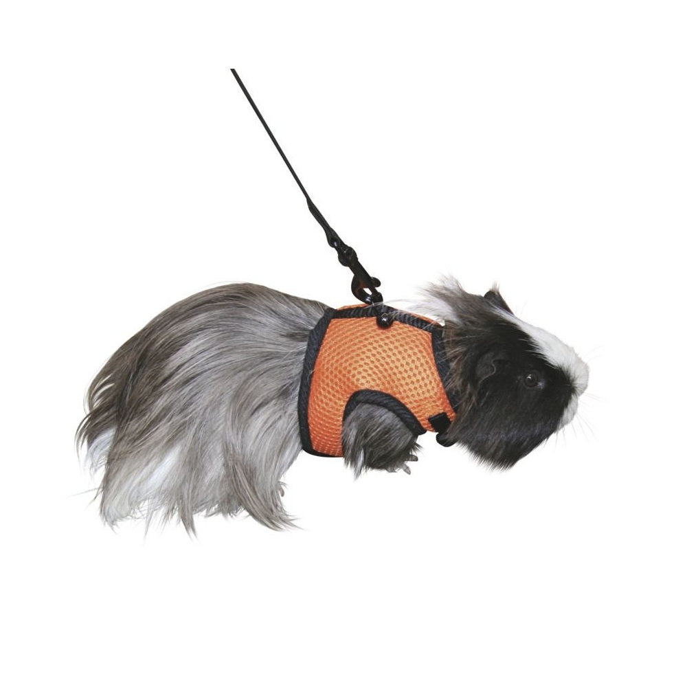 accessori per passeggiate roditori