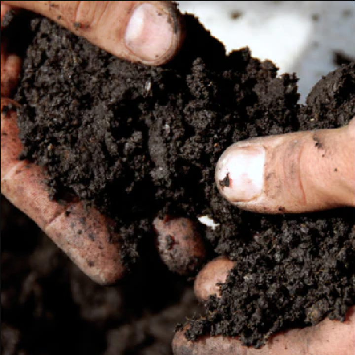 Carbone per Mangimi 15kg